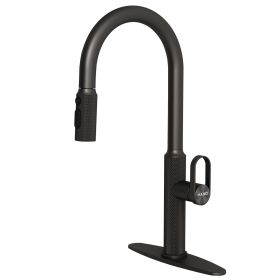 Pull-out kitchen faucet (Main Material: Stainless Steel, Main Color: Matte Black)
