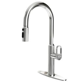 Pull-out kitchen faucet (Main Material: Stainless Steel, Main Color: Chrome)